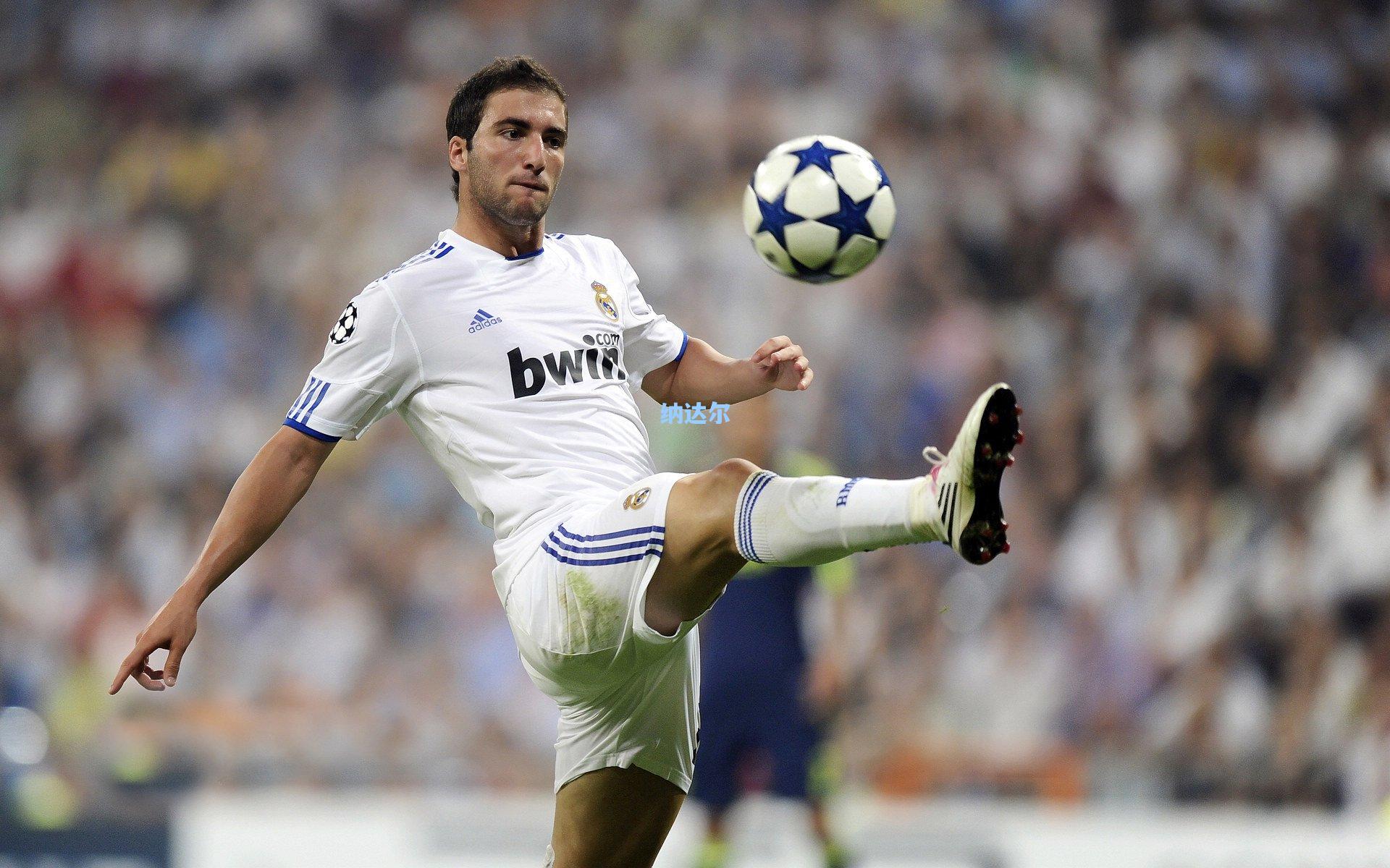 星空体育app官方网站-纳达尔